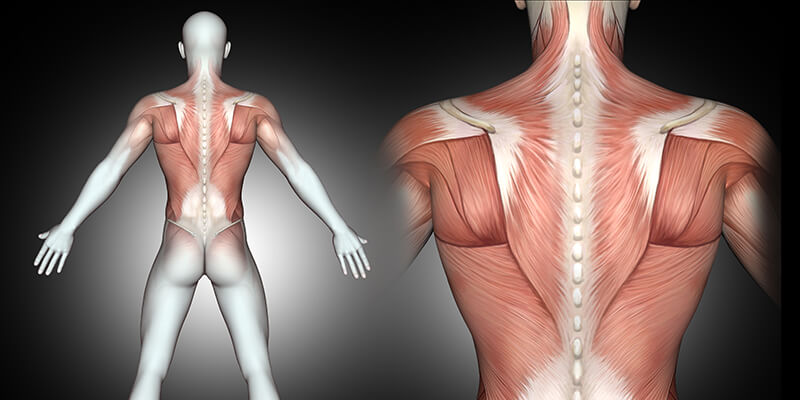 Estudio sobre la magnetoterapia en el dolor muscular (DOMS) 